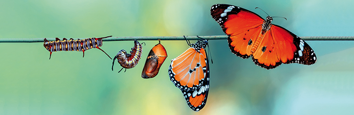 Endzeit, Wendezeit oder Transformation?