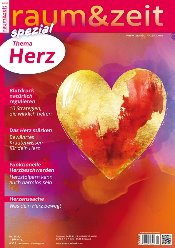 E-Paper: raum&zeit spezial nr. 2025_1