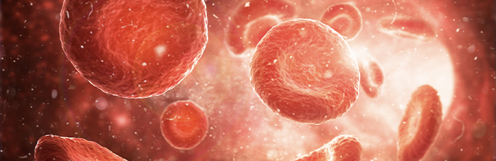 Vitalblutanalyse:'Der Körper spiegelt sich im Blut'