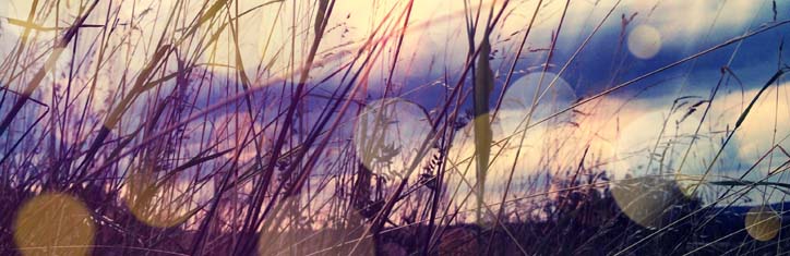 Access Bars – das System für eine umfassende Gesundheit