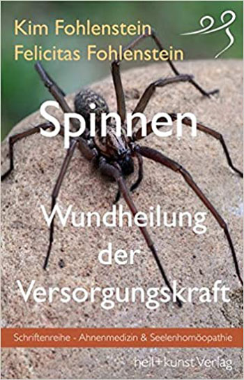 Spinnen – Wundheilung der Versorgungskraft