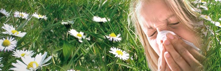 Tränen im Frühling