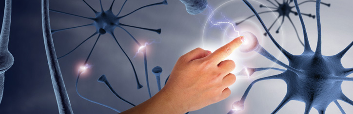 Wie Sie zum Chef-Programmierer Ihres Gehirns werden