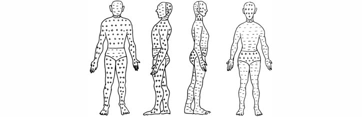 Der Hauch des Lebens