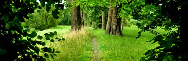 Neue Wege in der Augenheilkunde Teil 2