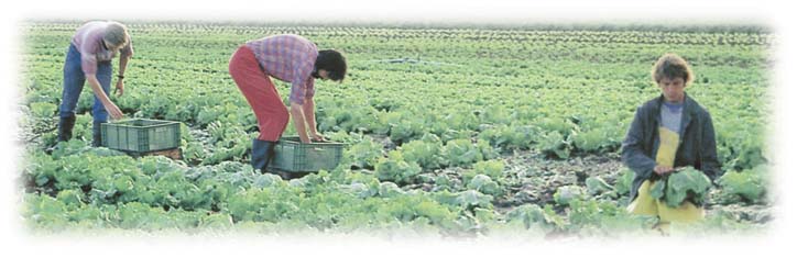 Der große Bauern-Report Teil 5