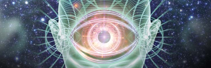 Das integrale Bewusstsein