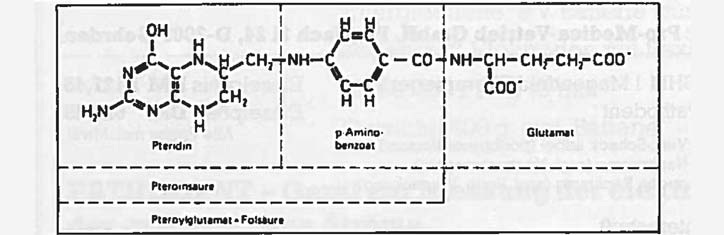 Biochemische und pathobiochemische Bedeutung von Vitamin B12 und Folsäure im Hin