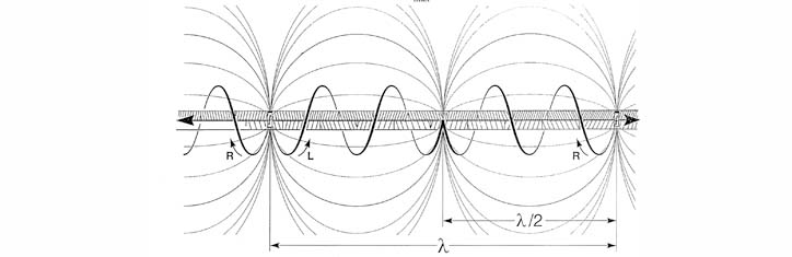 Bioenergetik Teil 3: Zur Physik der Bioenergie und Theoenergie
