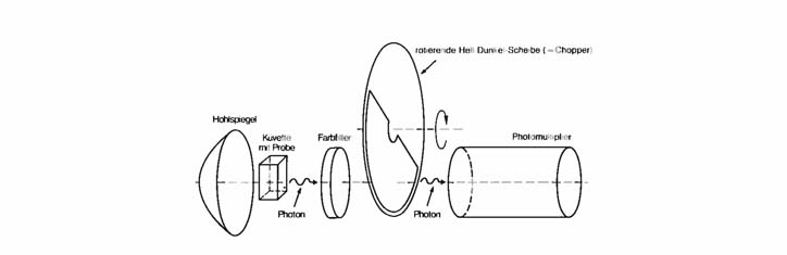 Lebenslichter – Biophotonen in der Zelle
