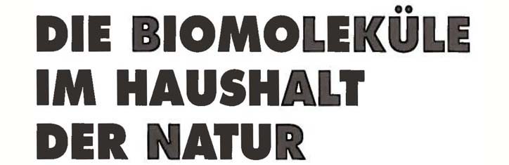 Die Biomoleküle im Haushalt der Natur
