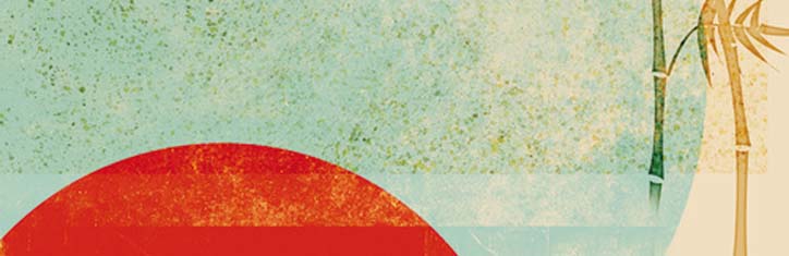 Bio-Resonanz für jeden