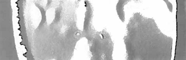 Das 'Gedächtnis' biologischer Systeme