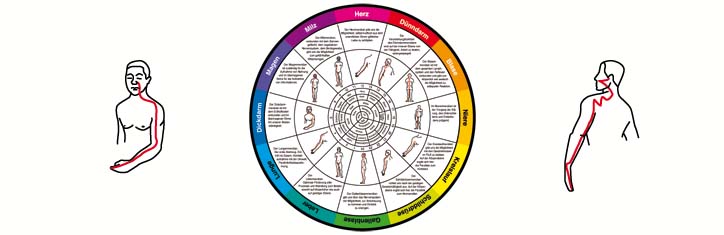 Der holistische Blutstropfen-Test