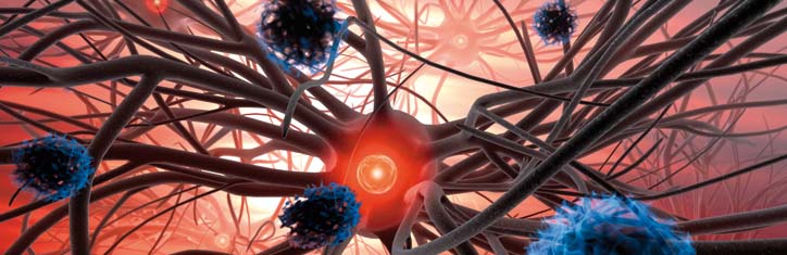 Forschungen zum Bornavirus