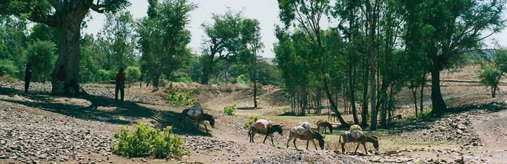 Brunnen in der Wüste