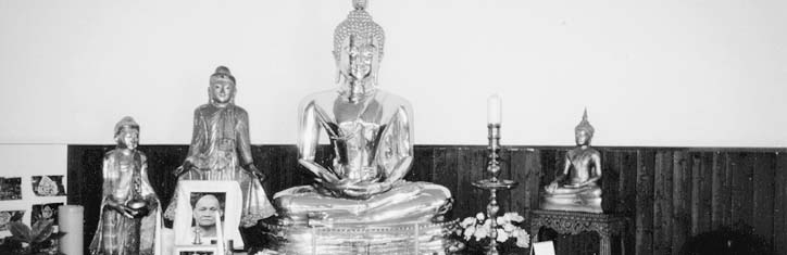 Buddha und die Schokolade