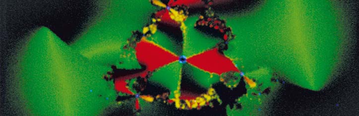 Chaostheorie und Biologie Teil 4