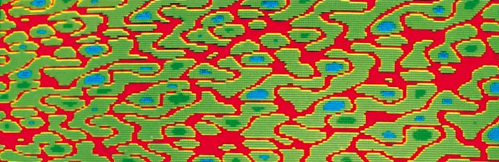 Chaostheorie und Biologie Teil 2: Interferenz und Fokussion
