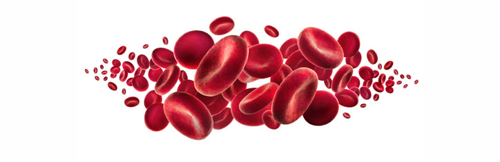 Die Cholesterin-Angst und andere Torheiten der orthodoxen Medizin