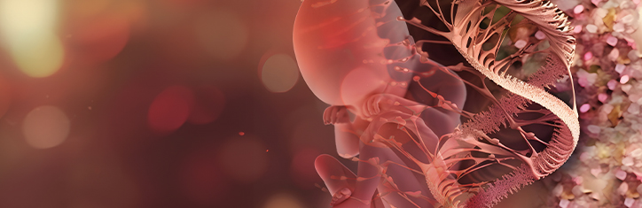 Corona-Impfungen hochgefährlich für Ungeborene?