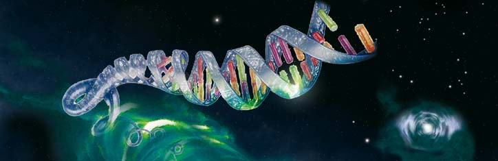DNA kommuniziert im Universum