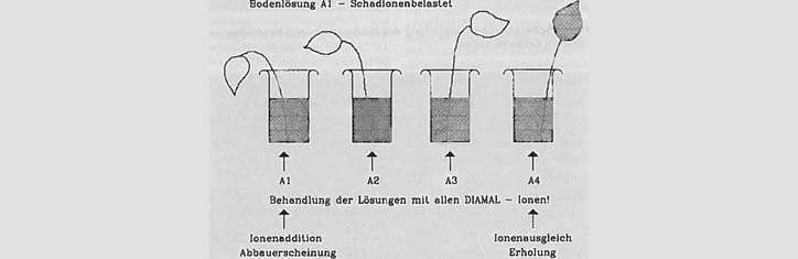 Diamal: Rettung für den Wald?