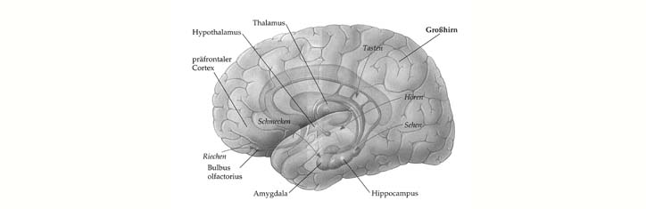 Manipulation durch Duftstoffe