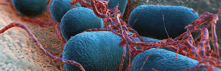 Der nächste Virus-Alarm kommt bestimmt