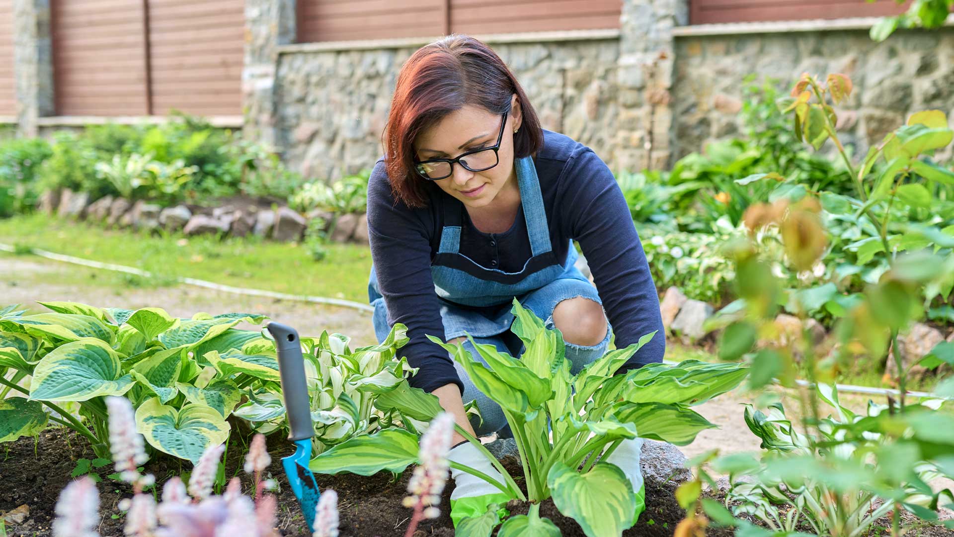 Leichter Gärtnern mit mehrjährigem Gemüse