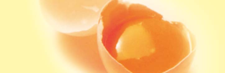 Charismon: spagyrisch erschaffene Substanz gegen Hautprobleme