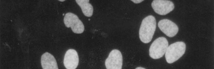 Eigenblut-Vaccine zur Behandlung schwerer Stoffwechselstörungen