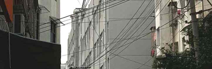 Elektrosmog lässt sich neutralisieren