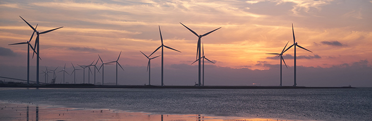 Energieimport und Entropieexport