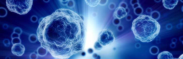 Mehr Energie in den Zellen