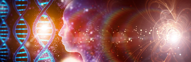 Evolutionsbiologie auf dem Prüfstand