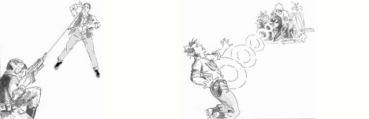 Die elektromagnetischen Geheim-Waffen der US-Army