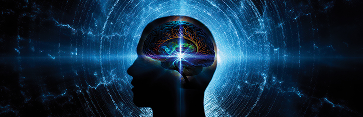 Unser Gehirn hat einen Quantencomputer