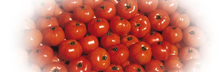 Gen Food für alle, ohne Kennzeichnung