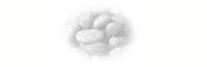 Die giftige Gen-Kartoffel oder die unkontrollierten Menschenversuche der Pharma-