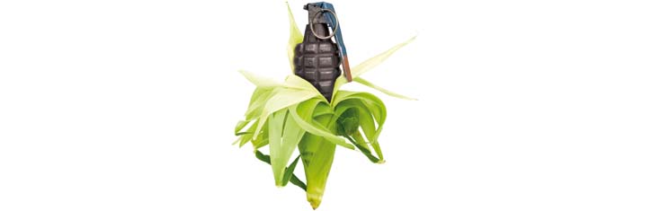 Gentechnik – Landwirte und Verbraucher zahlen drauf