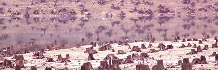 Öffentliche Dienstleistungen werden verramscht: GATS bedroht unser aller Lebensg