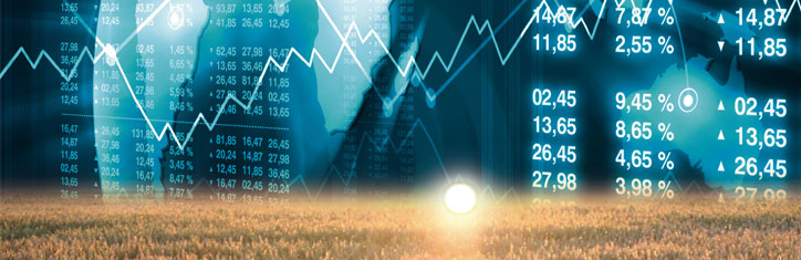 In Grund und Boden gewirtschaftet