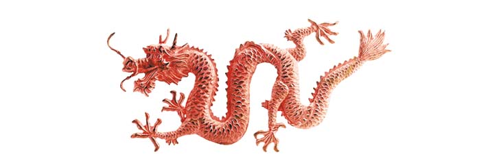 Heilkunst im Zeichen des Drachen