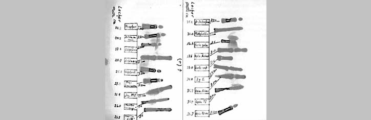 Physikalischer Nachweis von homöopathischen Hochpotenzen