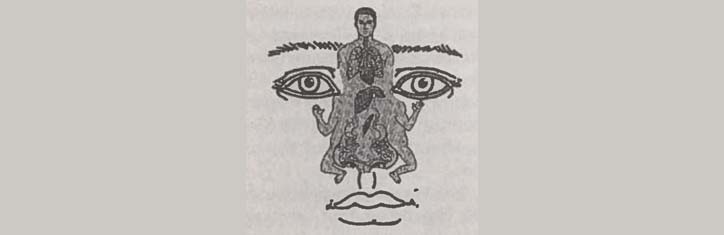 Die Neue Homöopathie (V): Informationssysteme