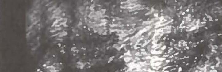 Die Neue Homöopathie (VI): War Ötzi ein Heiliger?