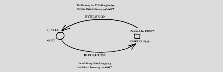 Wie man die freie Energie anzapft: Vögel machen es uns vor