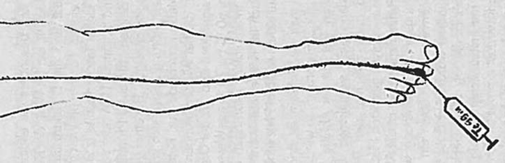 Die Informationszentren für Naturheilverfahren