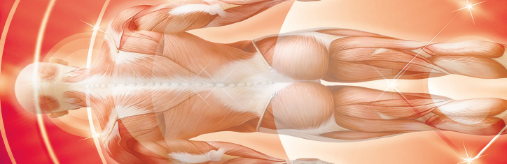 Lebendige Ordnung auf allen Ebenen